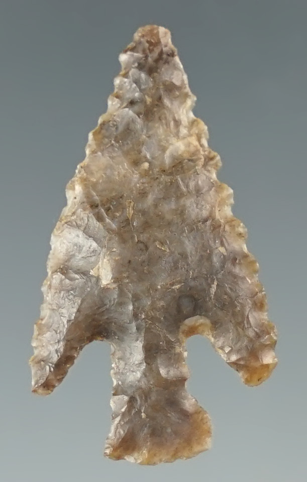 1 1/8" nicely serrated arrow point found in the four corners area of the Southwest.