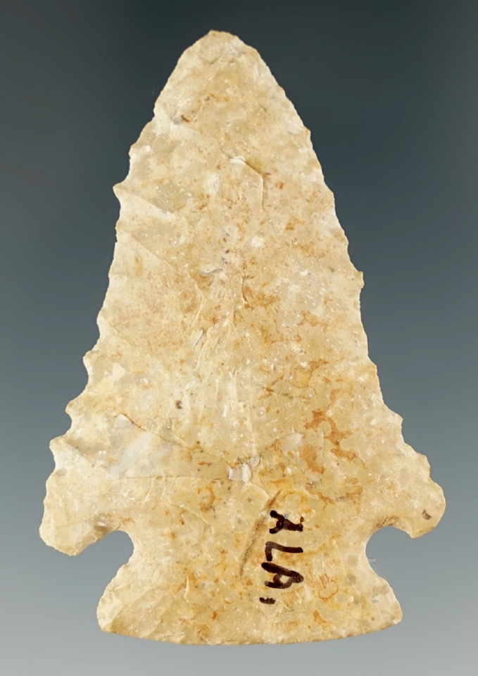 2 1/8" serrated Pine Tree made from Fort Payne chert found in Culbert Co., Alabama.