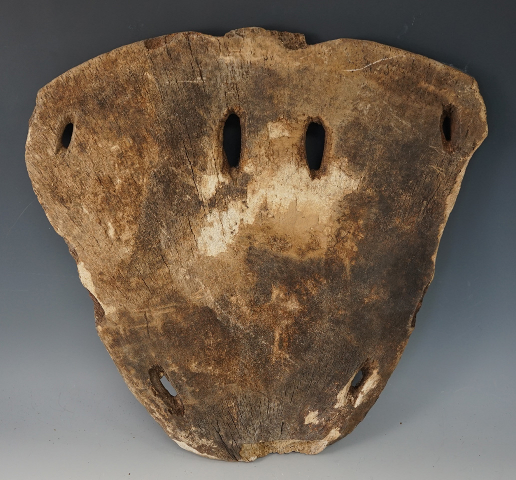 Large Inuit whalebone shield that measures 13 1/2" by 13 7/8" wide found in Alaska.