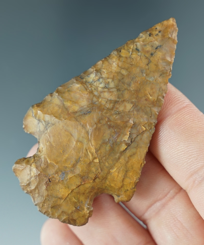 2 7/16" Cornernotch knife made from beautiful material found in Colorado.