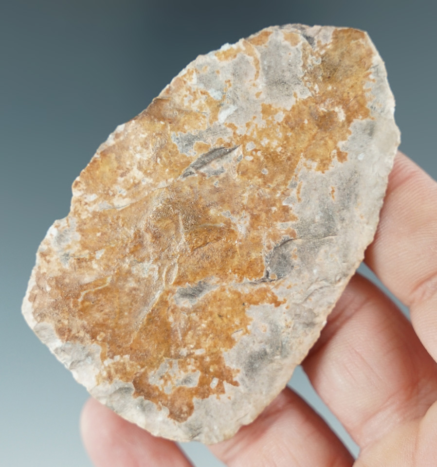 THIN!  2 7/8" Paleo Blade that is heavily patinated found in southern Idaho.