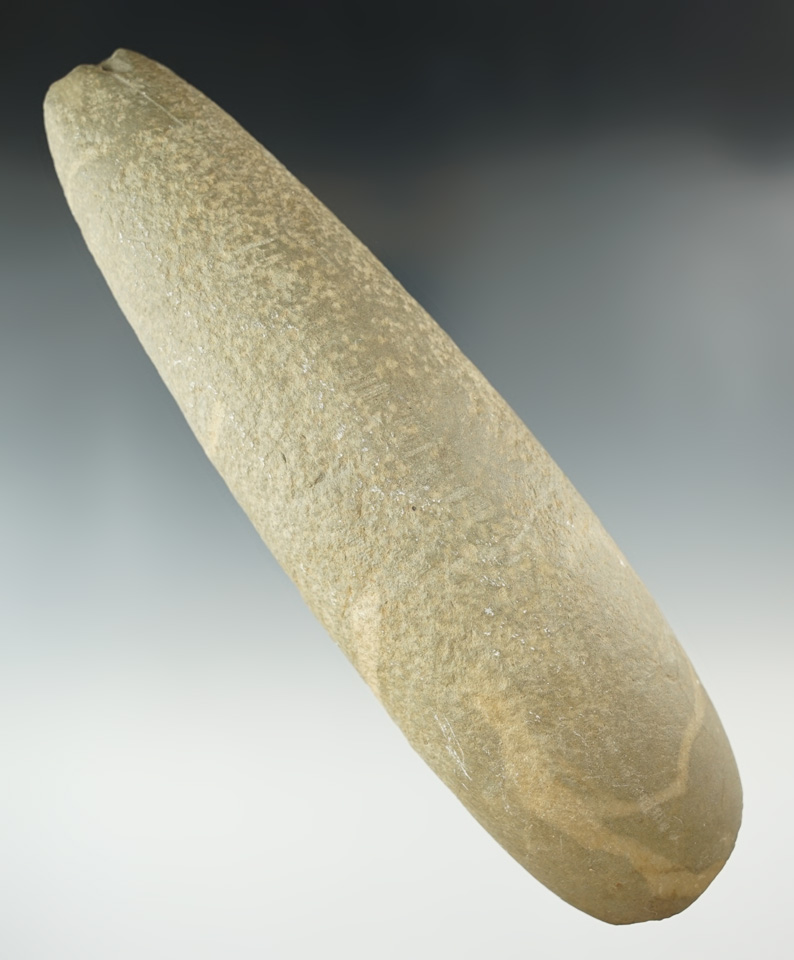 8 3/16" well developed Adze found on the Browns farm, Hingham, Massachusetts.