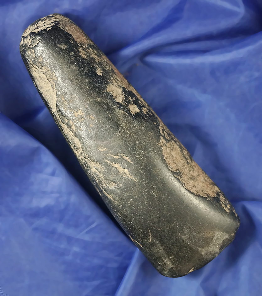 Excellent polish on this 5 1/4" Adze found in Ohio.