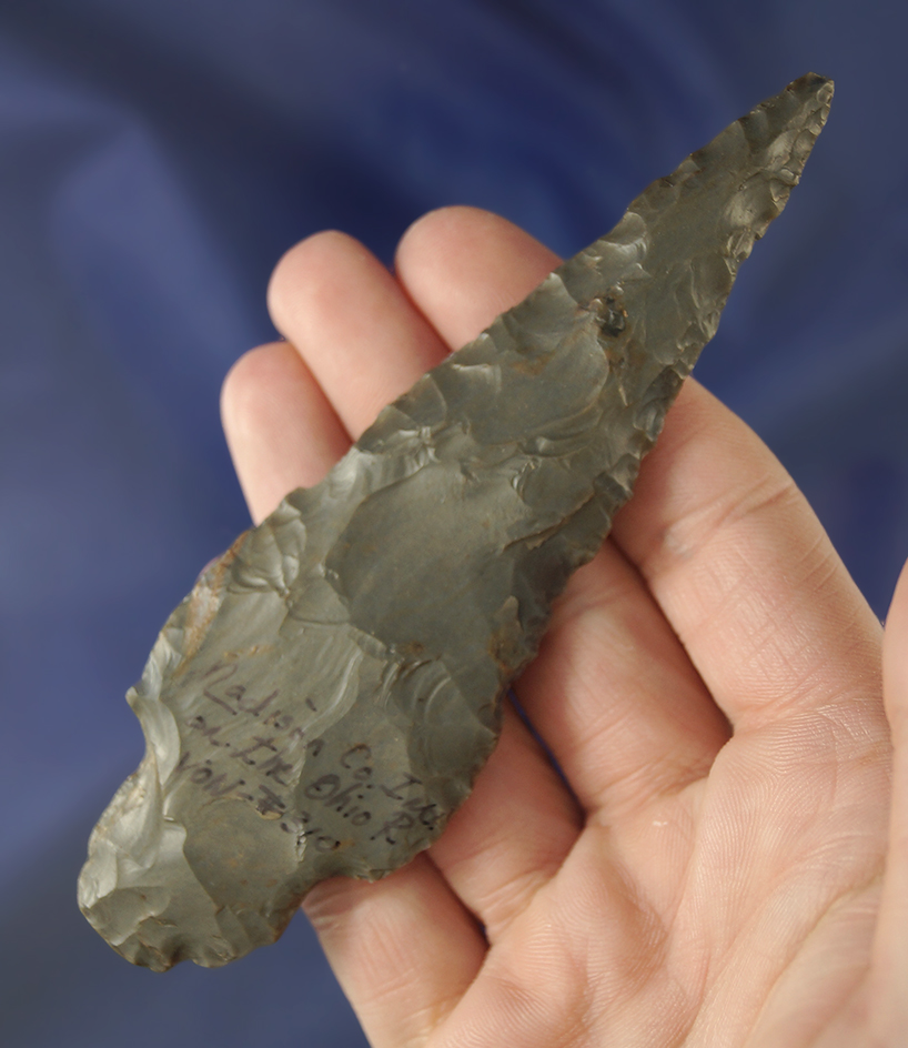 4 and 3/4" Turkeytail - Hornstone found in Madison Co.,  Illinois. Dickey COA.