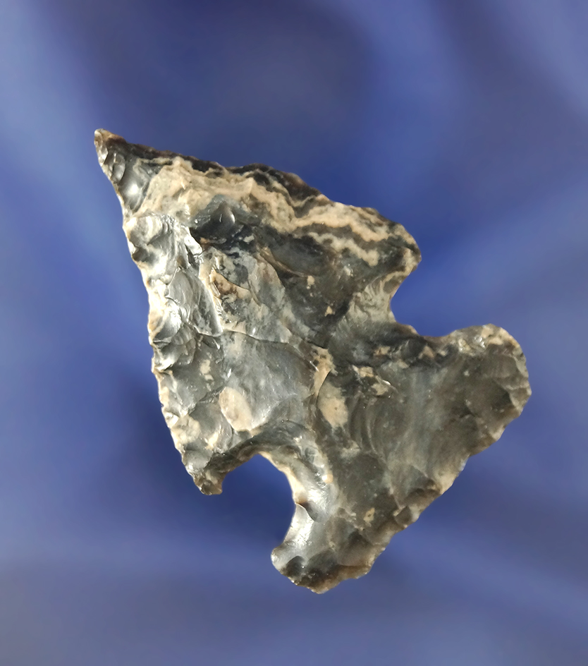 2 1/8" Sidenotch Knife found in Humboldt Co.,  California.