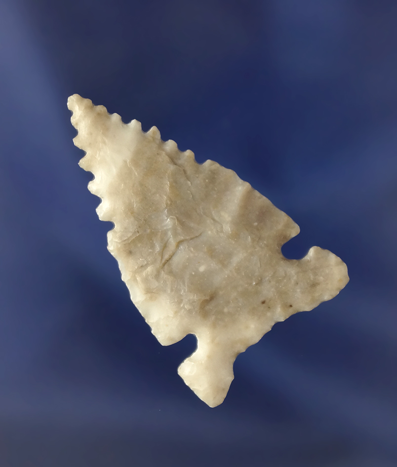 Caracara - high-quality Flint found in Texas. Ex. Charles Shewey. Deaccessioned Museum.