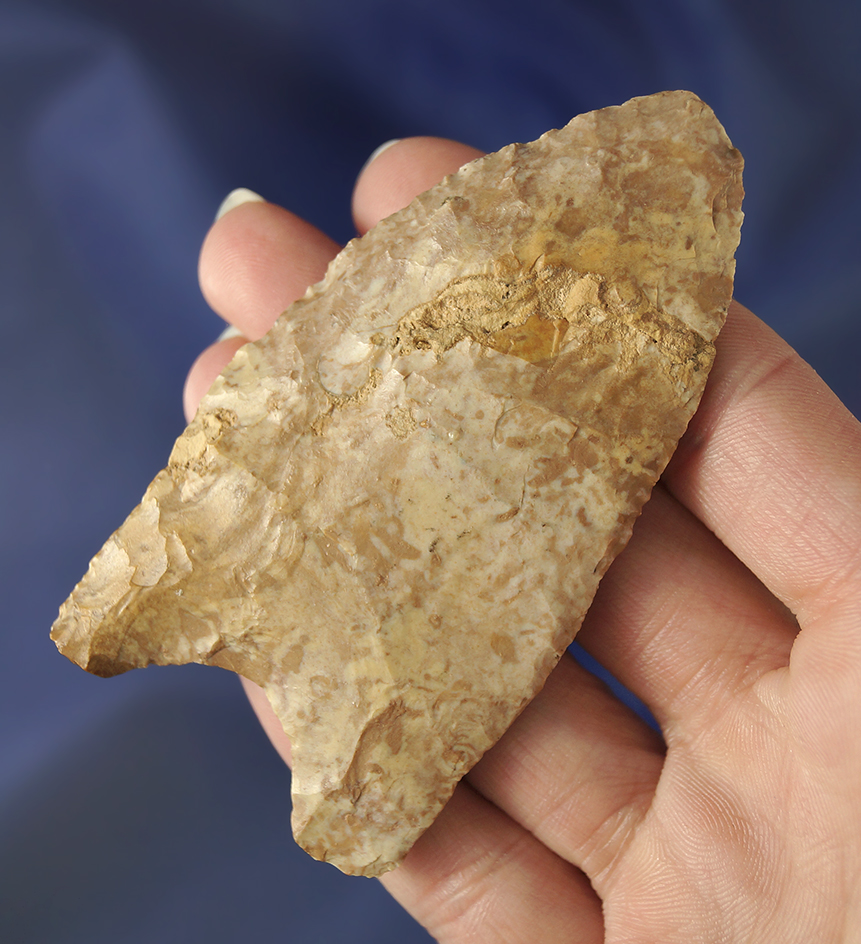 Very wide base on this 2 3/8" Dalton Knife   - Tennessee. Ex. Dickey.