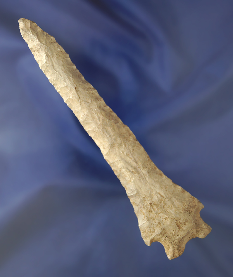 Sale Highlight! Huge 5 1/2" Buzzard Roost Creek - Hardin Co.,  Tennessee   Dickey COA.