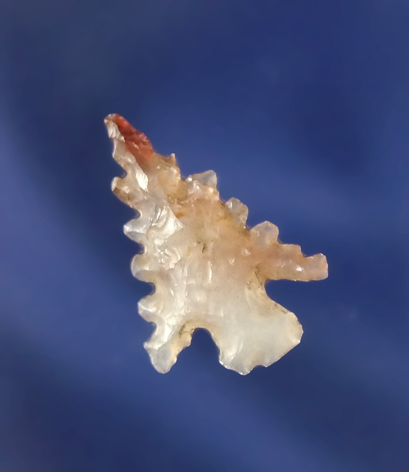 Beautiful translucent multicolored agate 3/4" Naz Pierce point - Lewis Co.,  Idaho.  Stermer COA.