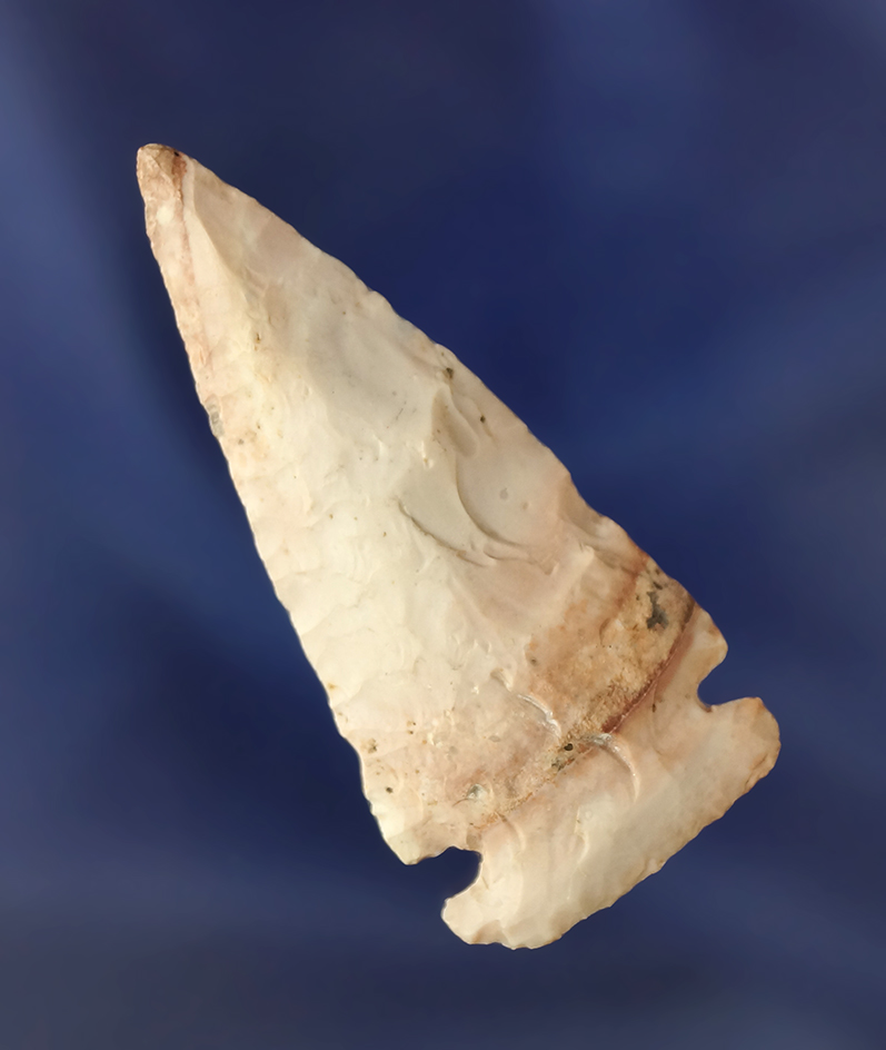 2" Cache River point found in Greene Co.,  Arkansas - beautifully colored Bailey's chert.