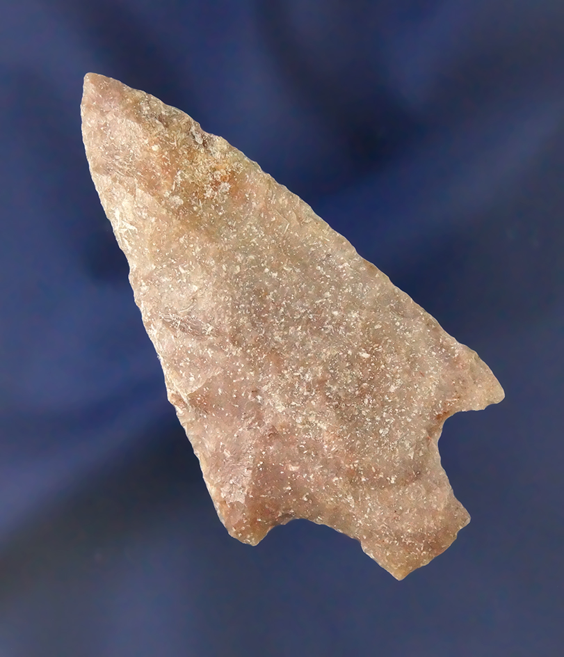 2 11/16" Levy point found in Florida.