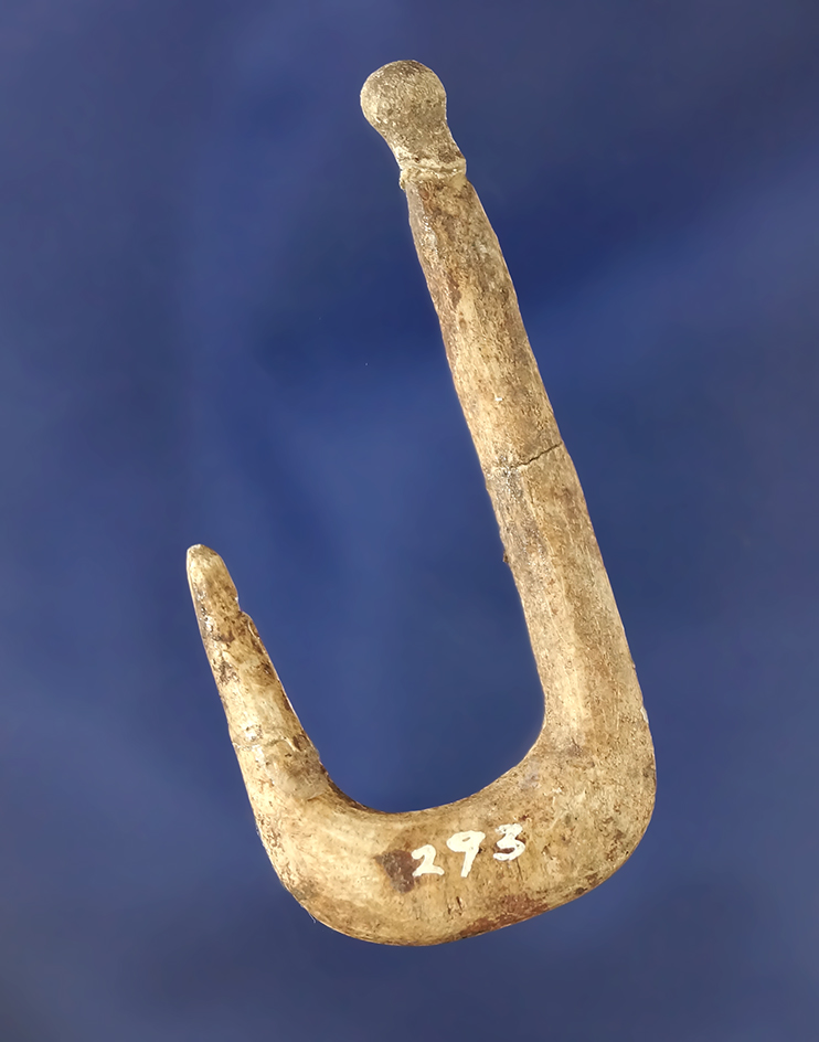 Rare! Very nice 1 15/16" Bone Fish Hook that is very well styled. Small piece broken and glued