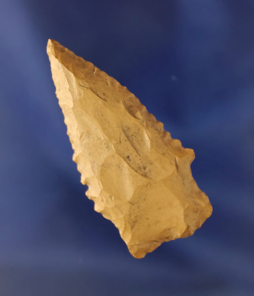 1 15/16" Darl point found in Texas.