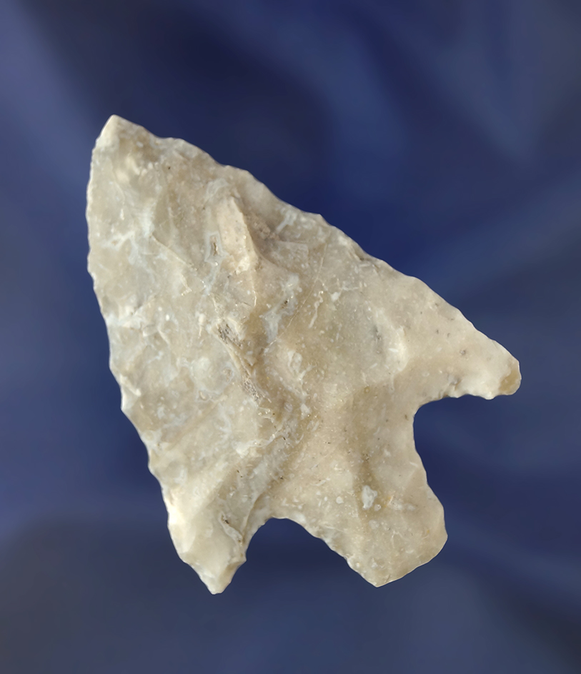 2 3/4" Levy point made from semi translucent coral found in Florida.