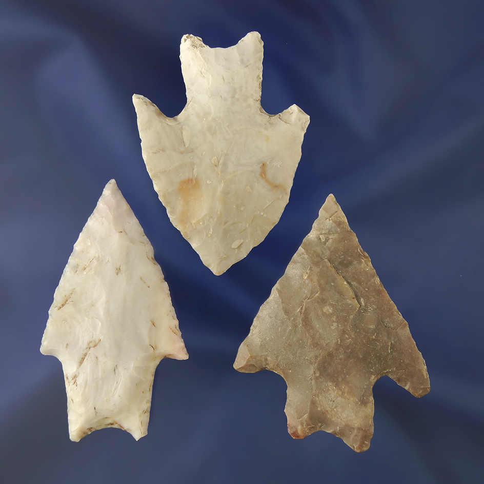 Set of three nice Pedernales points found in Texas. Comes with a Tom Davis COA.