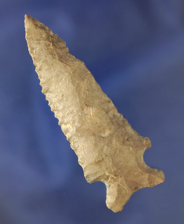 2 3/4" nice serrations and heavy patina on this 2 3/4" point found in Benton Co.,  TN . Ex.Dickey.