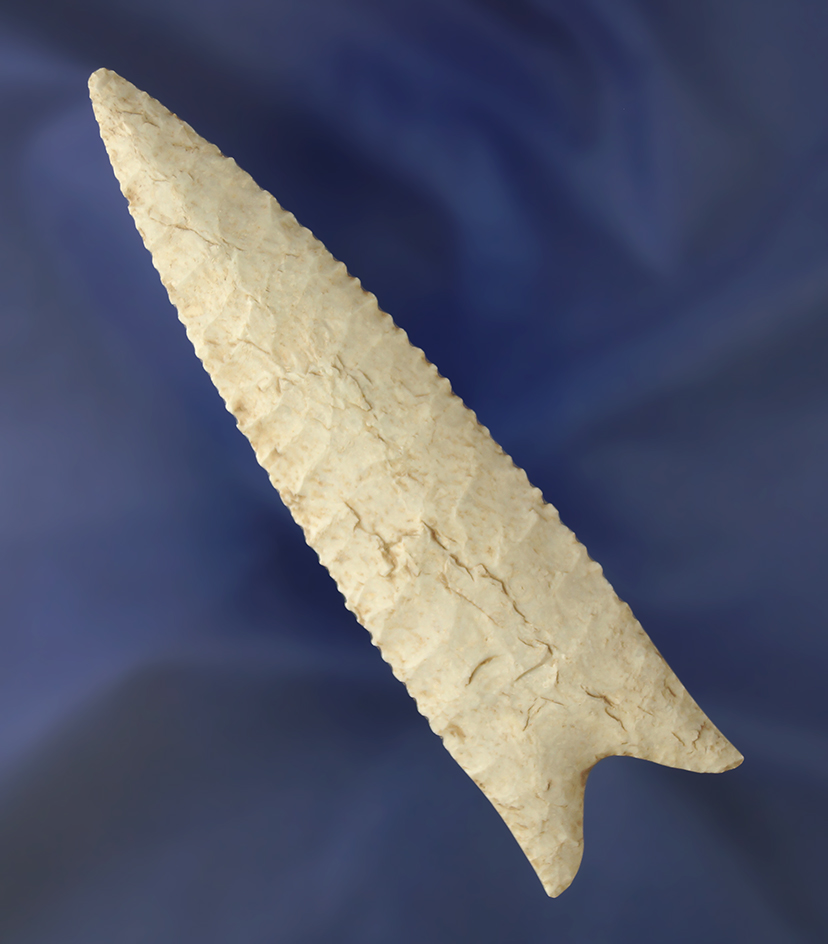 Exceptional style, flaking in incredible edge serrations on this 4 1/2" Dalton - Illinois.