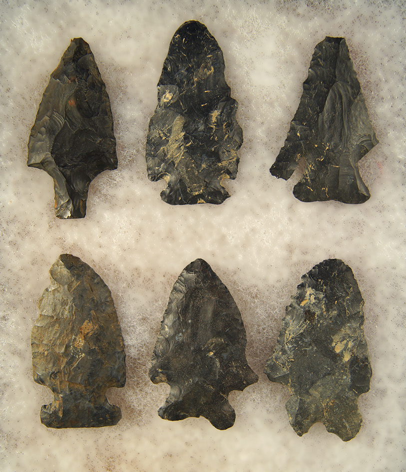 Set of 6 Assorted Coshocton Flint Arrowheads found in Ohio - largest is 2 1/2".