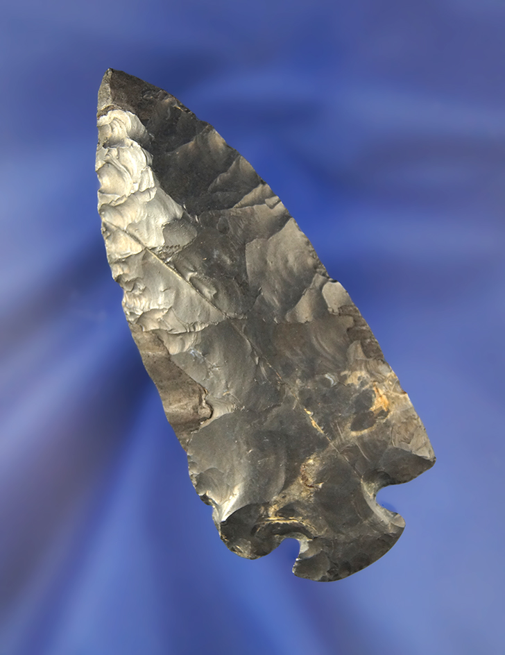 3 1/4" Coshocton Button Base Dovetail found in Ohio with restoration to tip and  blade ding