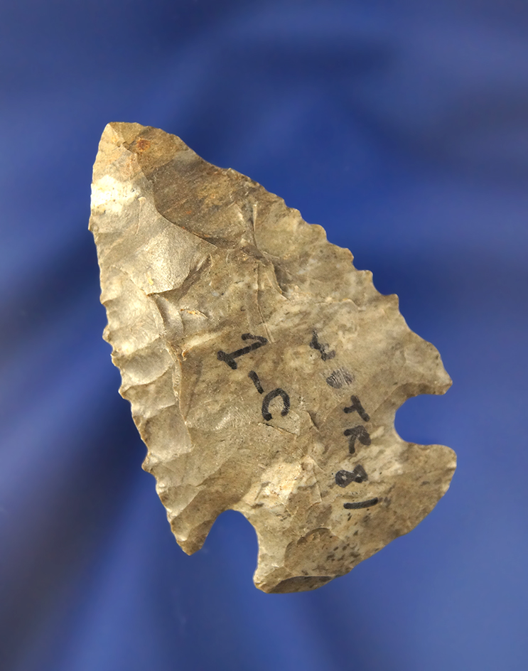 2 1/4" serrated Dovetail made from Fort Payne Chert, found in Kentucky.