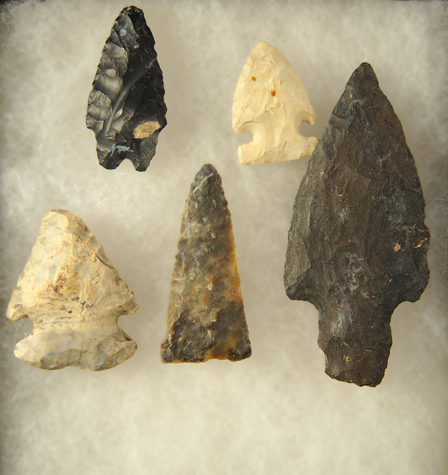 Set of 5 assorted Ohio Arrowheads, largest is 2 7/8".