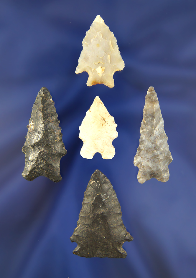 Set of 5 nicely styled Arrowheads, largest is 1 7/8", found near Fredericktown, Knox Co., Ohio.