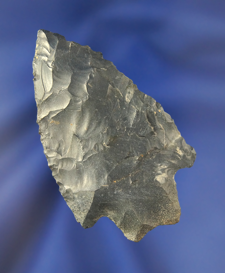 2 5/8" Coshocton Flint Transitional Paleo found in Knox Co., Ohio.