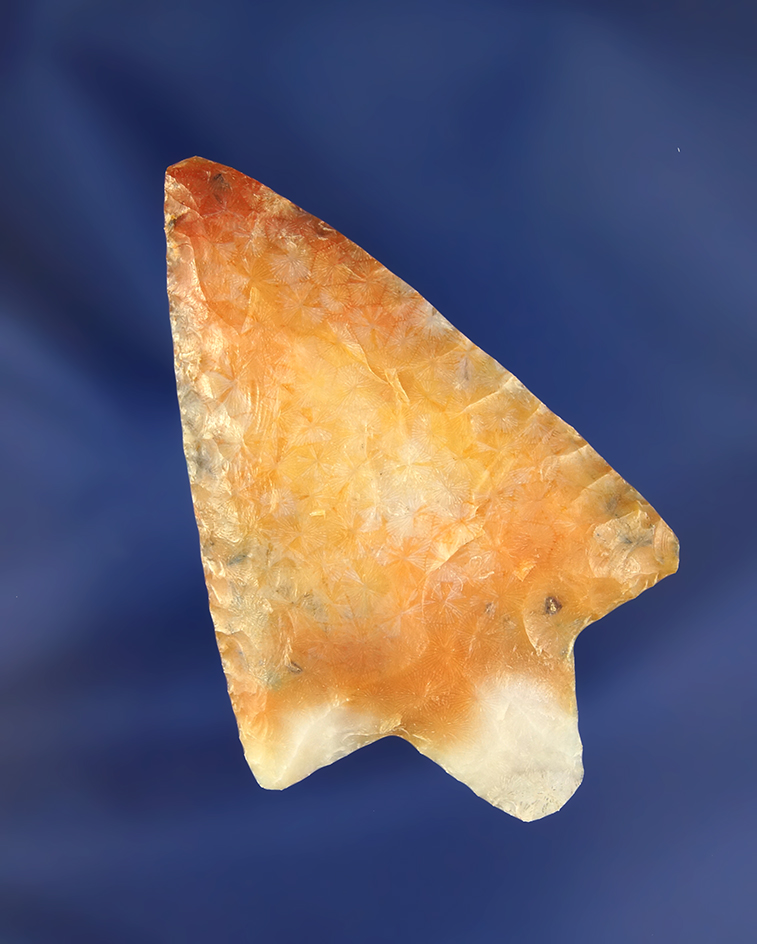 Excellent color and flaking on this 2 1/2" Marion Point found in Polk Co., Florida.