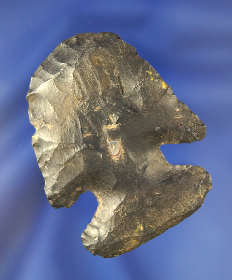 2 3/16" Coshocton Flint Thebes hafted scraper found in Knox Co., Ohio.