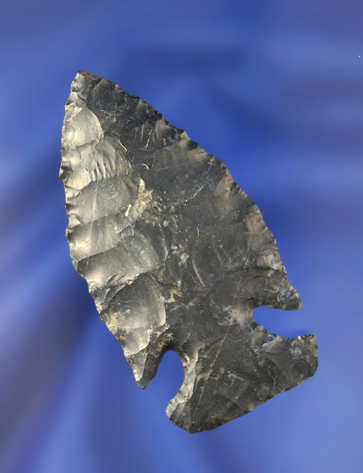 2 1/2" Classic Jacks Reef Intrusive Mound found in Coshocton Co., Ohio.