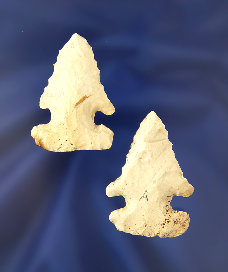 Pair of Thebes Bevels found in Darke Co., Ohio, largest is 1 15/16".
