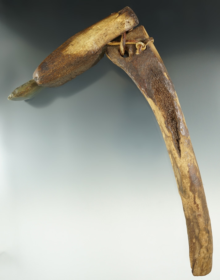 Inuit multi component Adze - all original parts inc, a bone handle, ivory axe head, and bit.