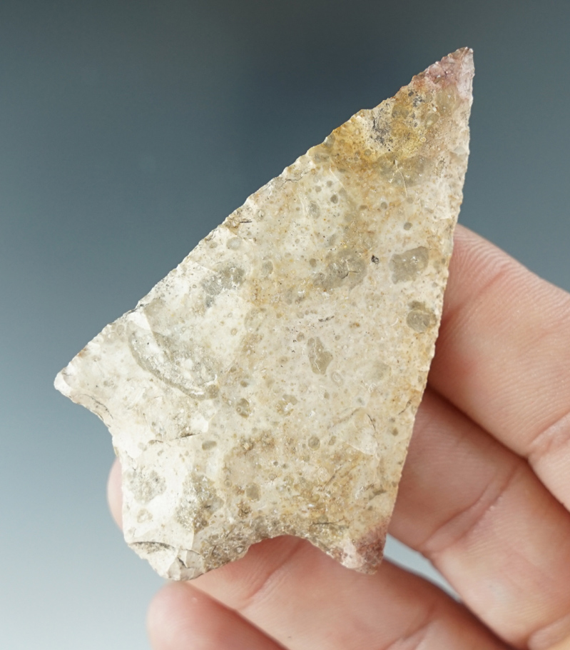 2 5/8" Marion Point found in Marion Co., Florida, in nice condition.