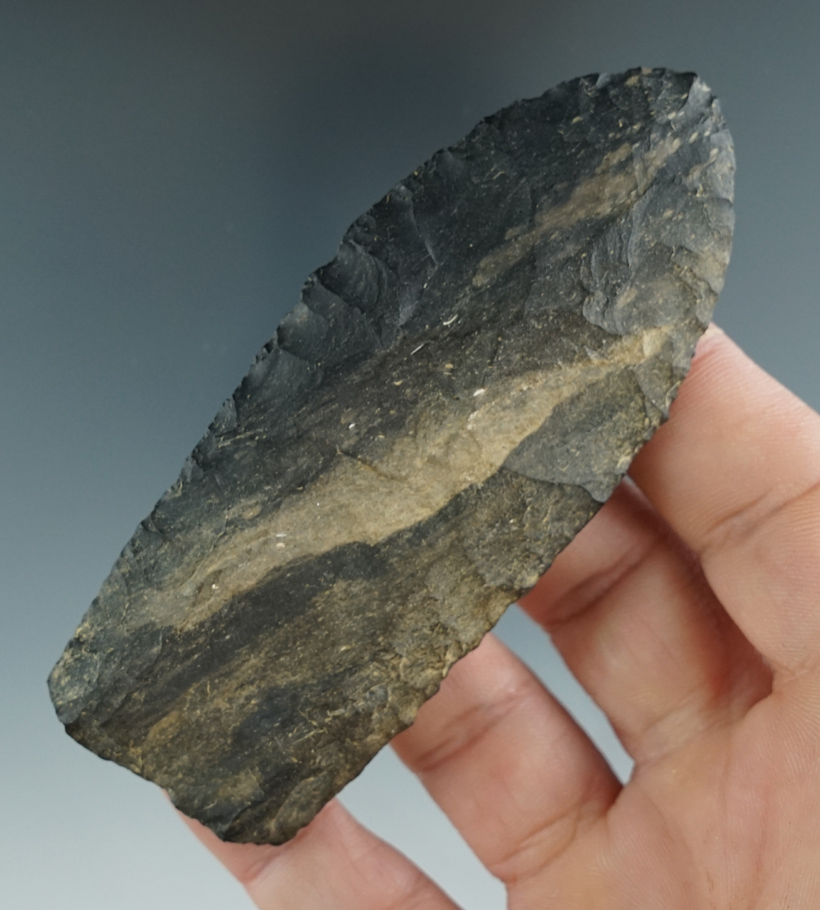 3 5/8" Paleo fluted Clovis Knife found in Lancaster Pennsylvania. Ex. George collection. COA.