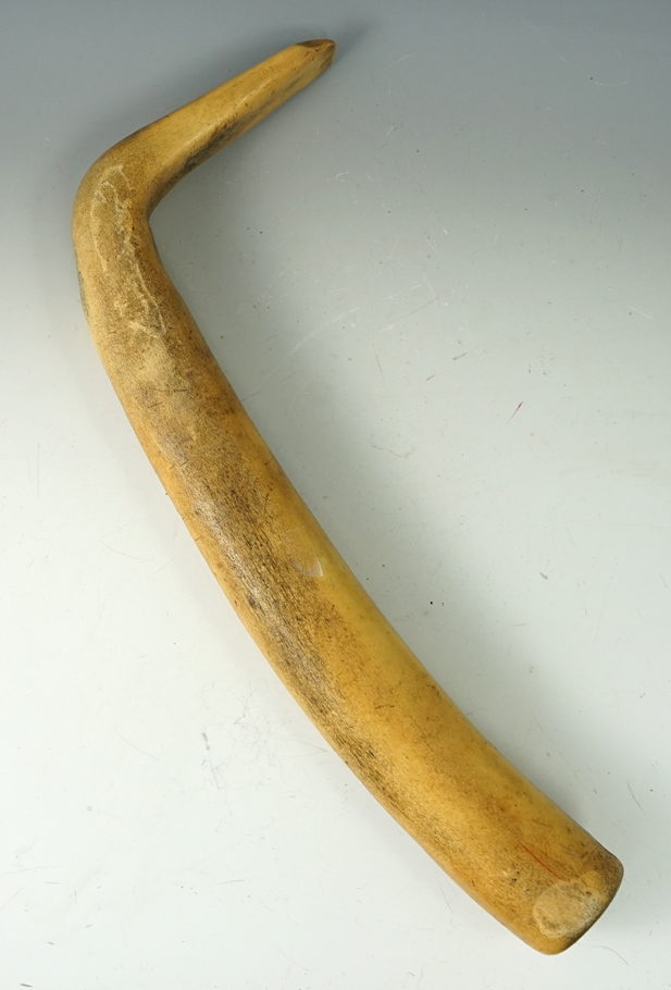 13 5/8" Engraved Flesher Handle made from elk antler. Found in the Western U.S. COA.