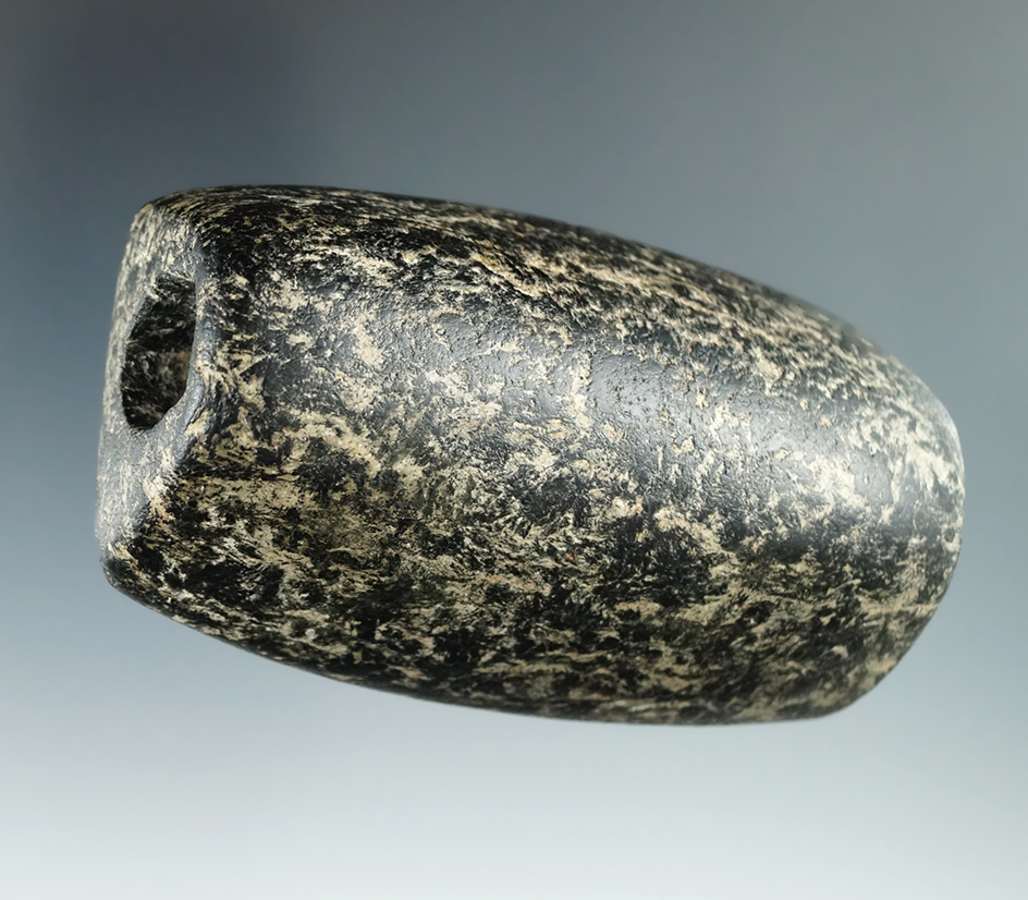 Pictured! Truly exceptional 3 1/4" hardstone "D" Bannerstone found in Trigg Co., Kentucky. Pictured!