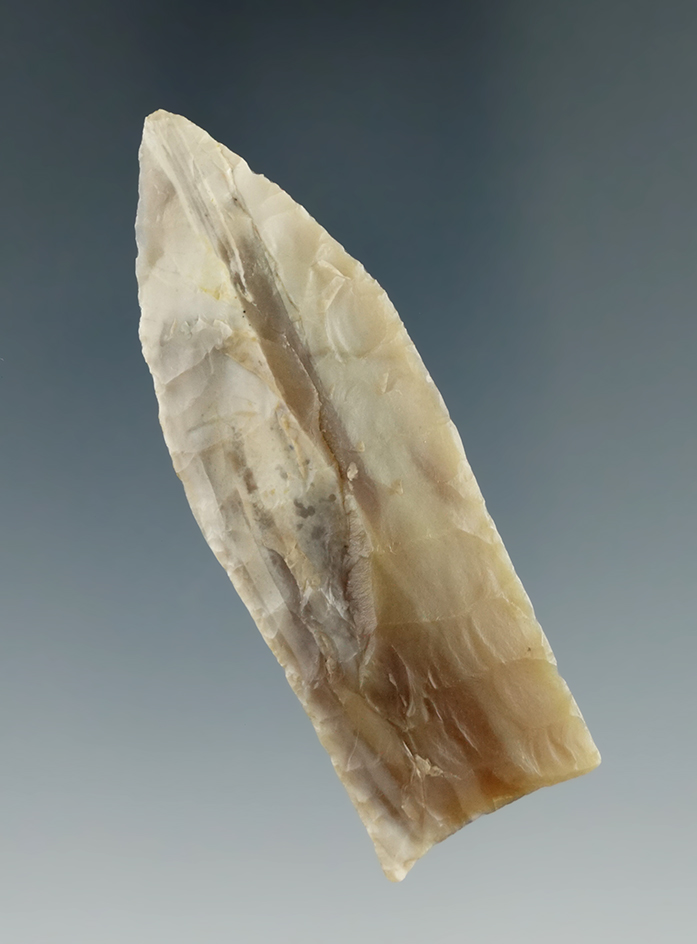 Exceptional! 2 9/16" Plainview made from Agatized Wood Marshall Co., Oklahoma. Rogers COA.