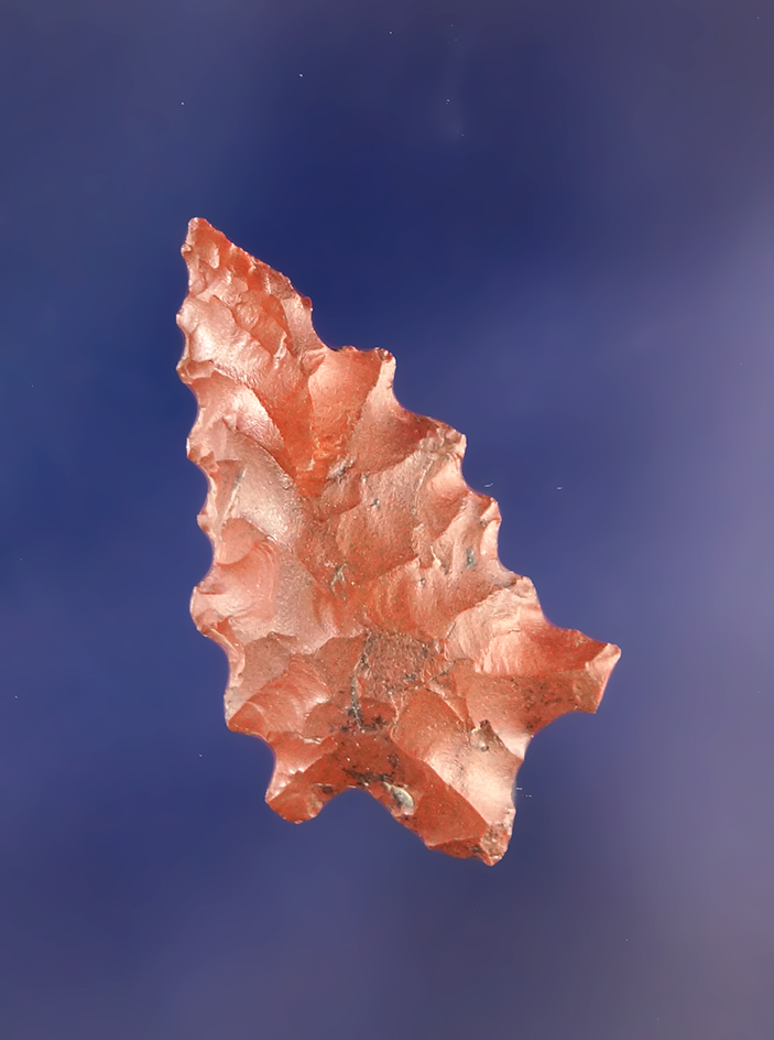 Calapooya point with heavy serrations, red Jasper, 15/16”. Linn Co., Oregon, 1962-63.