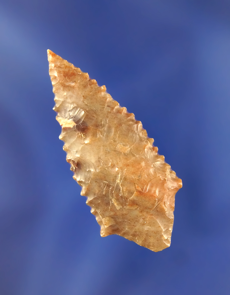 Exceptional flaking and style on this well-crafted 1 7/8" highly serrated Gatecliff - Columbia River