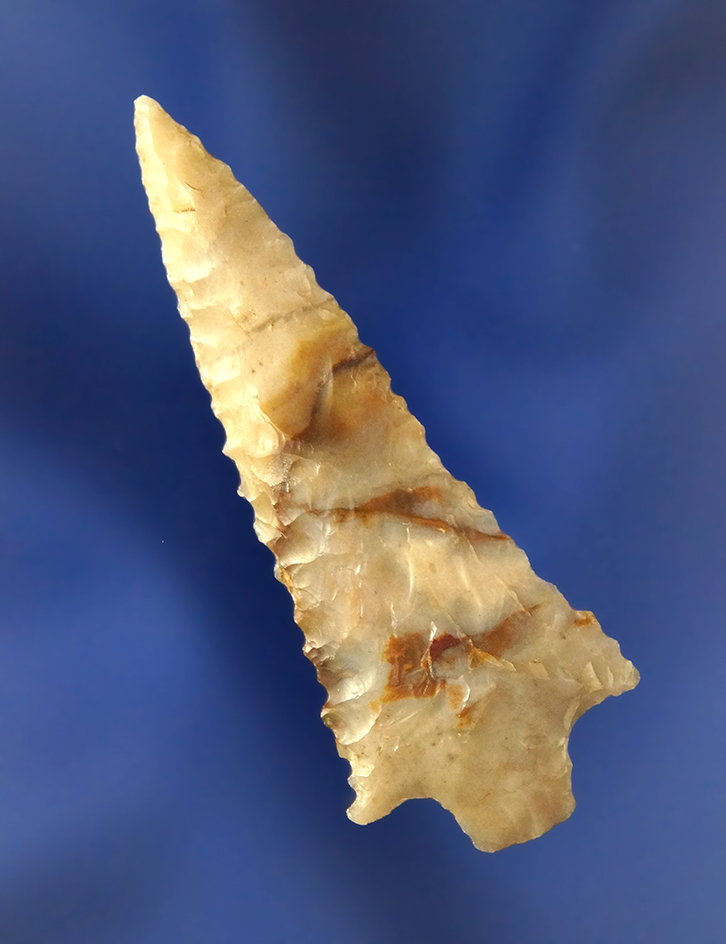 Exceptional! 2 1/8" Rabbit Island Dart with nice serrations found near the Columbia River.