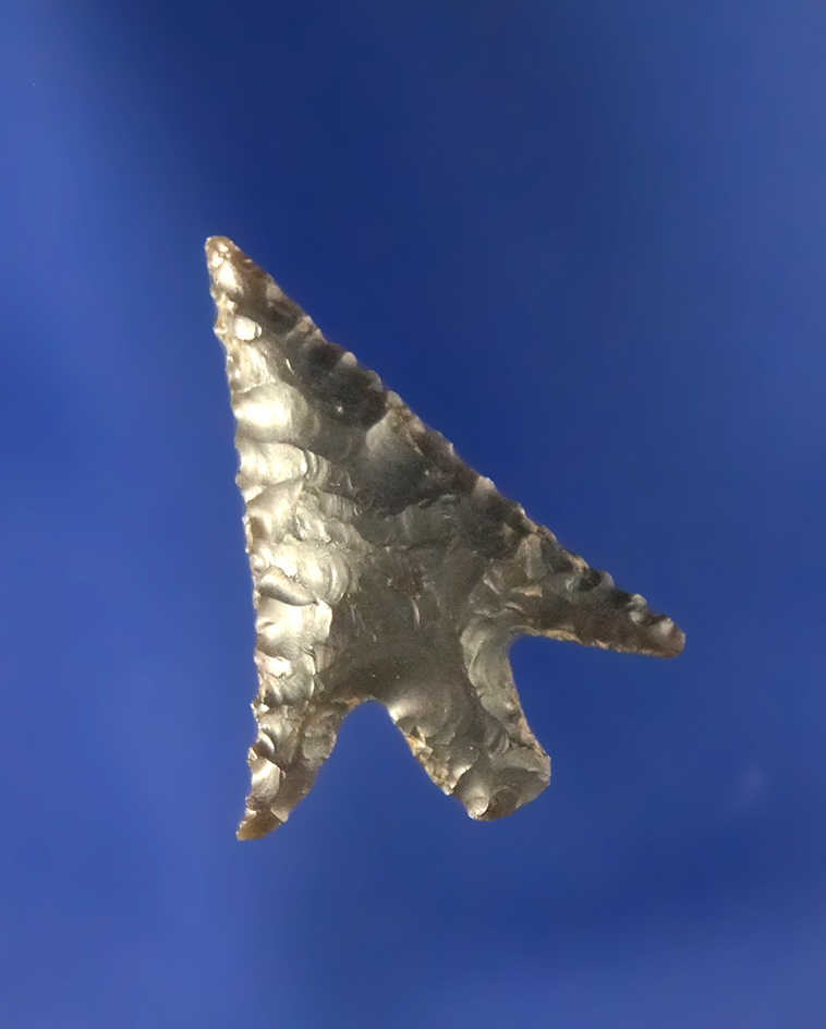 Columbia Plateau of gray Chalcedony, 13/16“ L. Found near The Dalles by Frank Buehler.