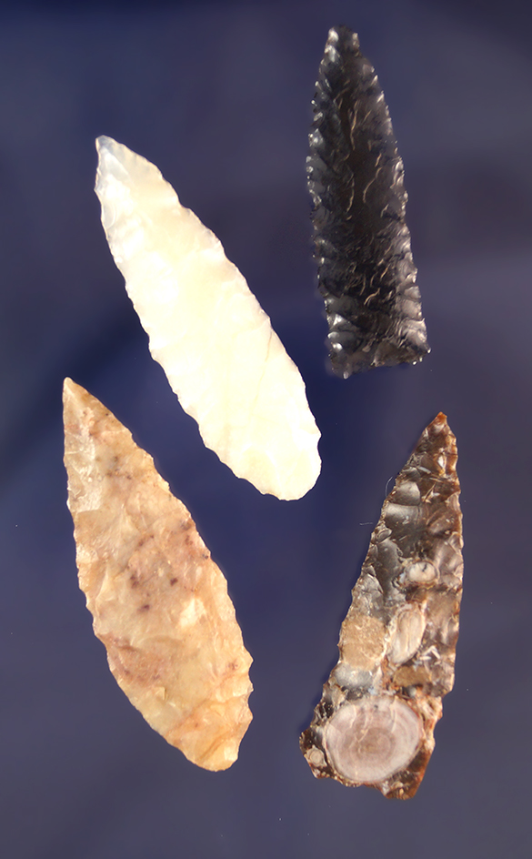 Set of 4 assorted Arrowheads found near the Columbia River, largest is 2".