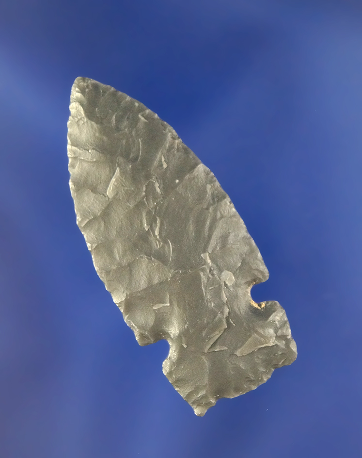 1 3/4" Cold Springs Sidenotch with nice flaking found near the Columbia River, Oregon.