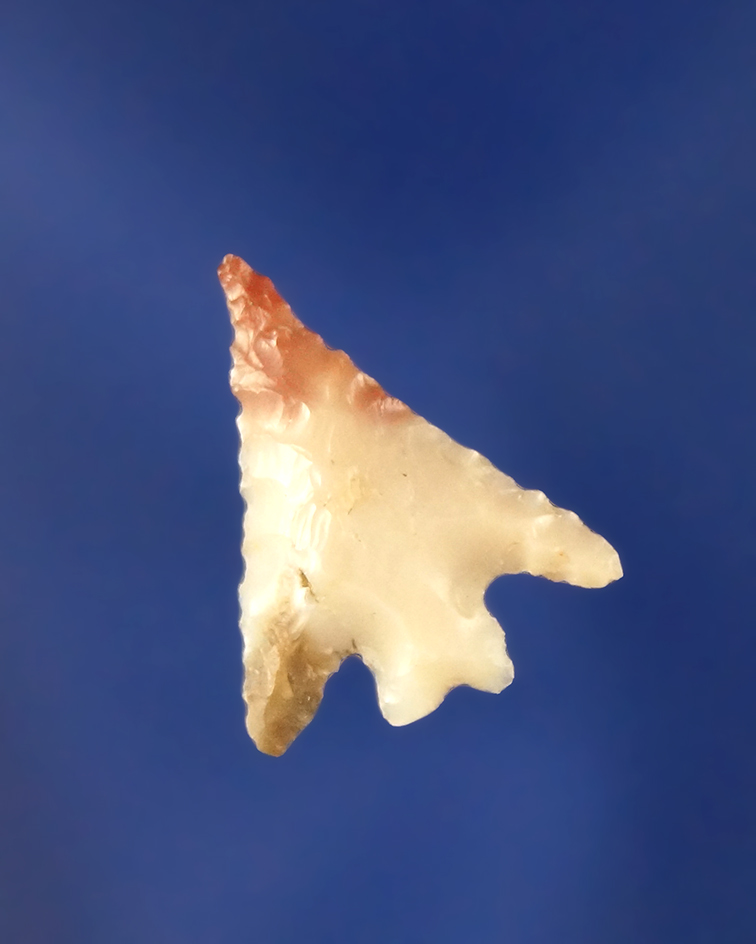 3/4" Columbia Plateau Split Stem with very nice flaking and micro-serrations - Columbia River.