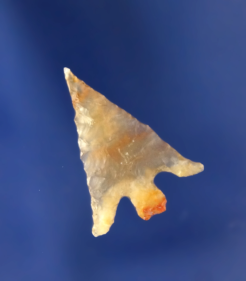 Columbia Plateau Agate point, 7/8”L. Recovered near the mouth of the John Day River.