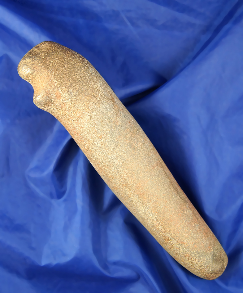 Rare, intact Columbia River Stone Club, fine grain stone, 9" L. Found on the Lower River.