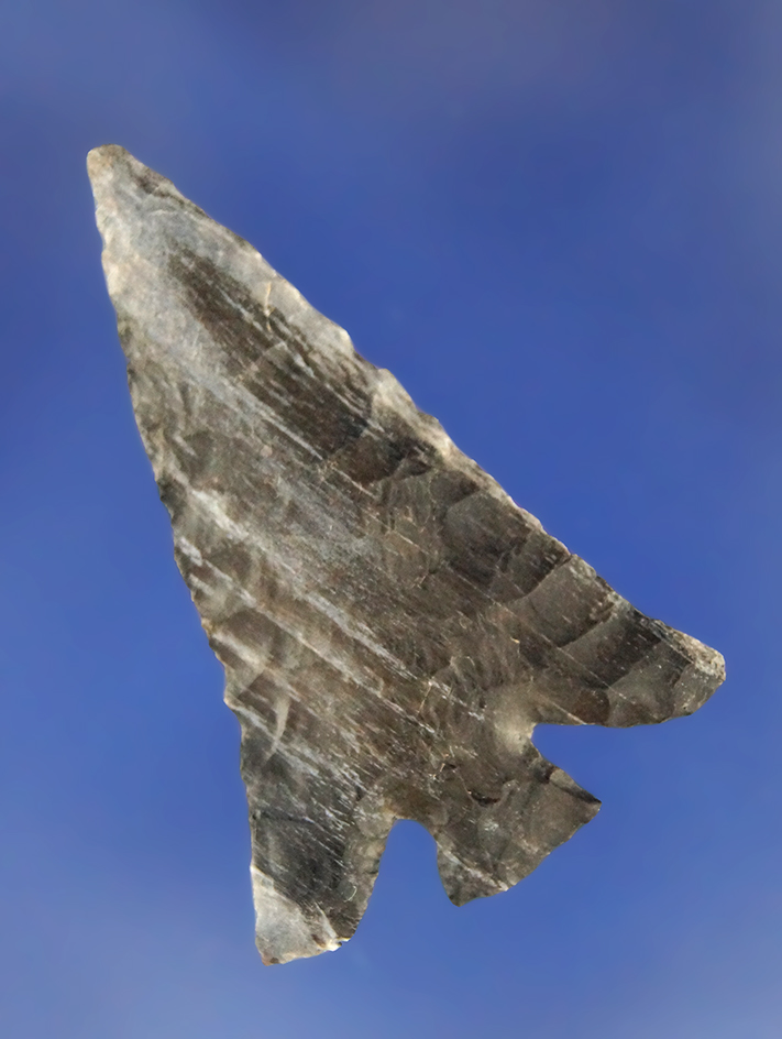 1 1/2" Columbia Plateau made from Petrified Wood. Found near Umatilla, Oregon.