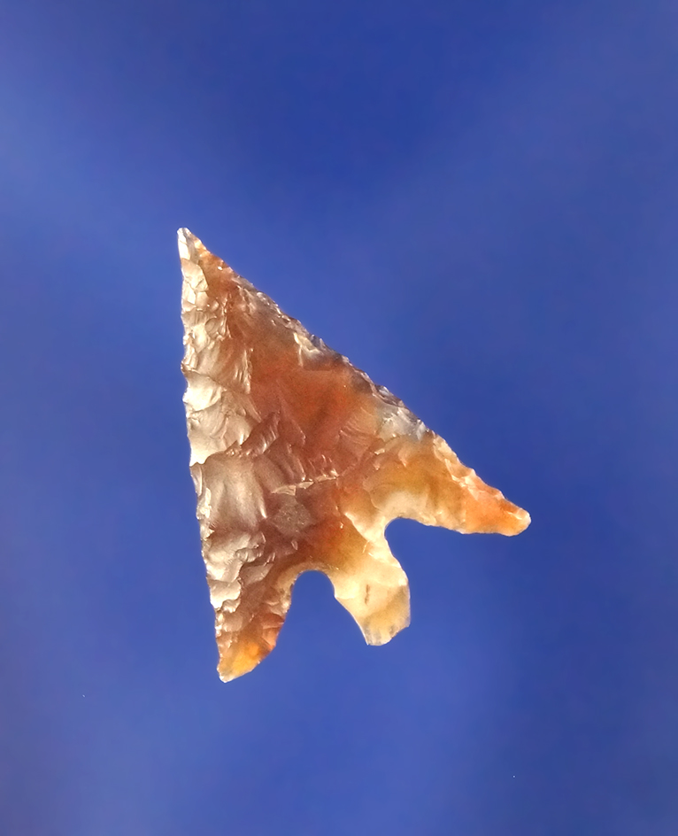 3/4" Wallula that is well flaked from quality material found near the Columbia River.