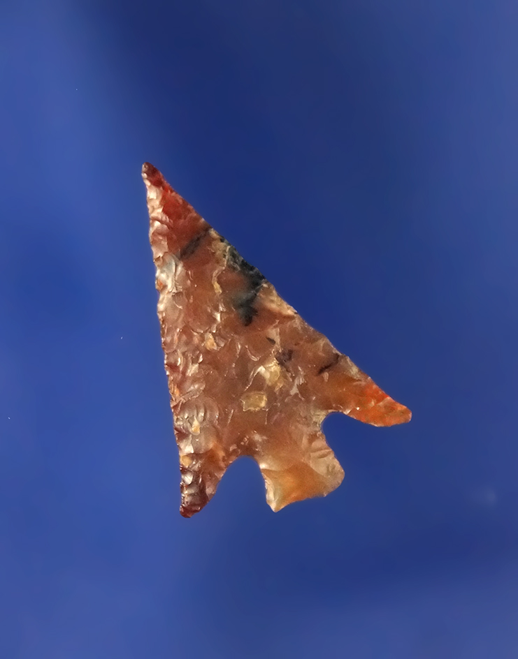 Columbia Plateau, found by the Bredemeier family near the Umatilla River. Carnelian Agate.