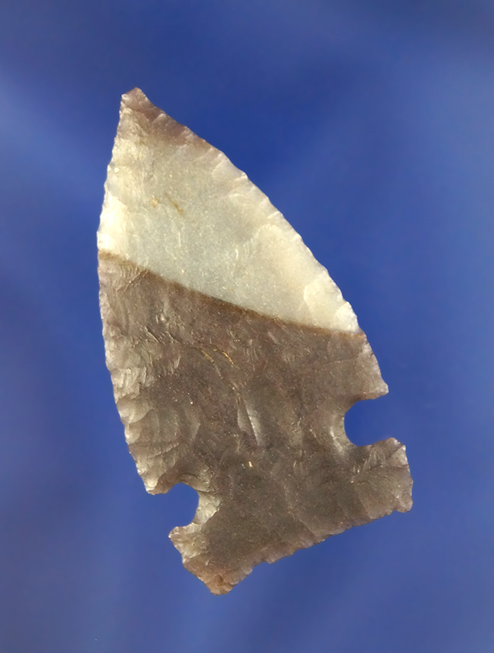 Thin 1 15/16" Sidenotch - beautiful semi translucent bi- colored Chalcedony - Columbia River